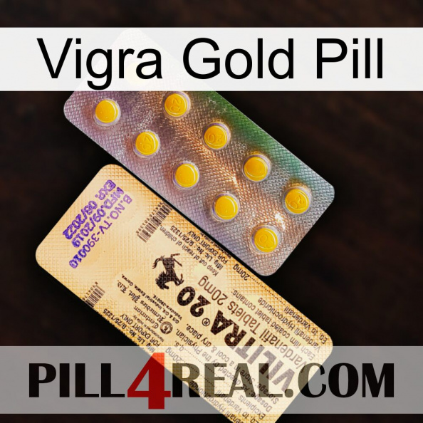 Vigra Gold Pill new06.jpg